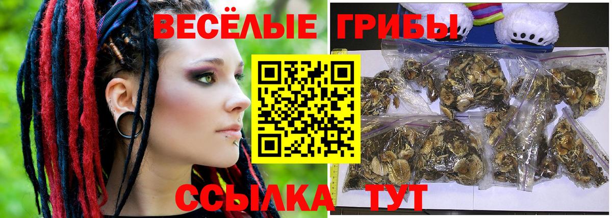 Галлюциногенные грибы Psilocybe Миасс